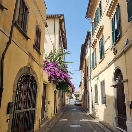 Tra Miracoli E Cavalieri Pisa