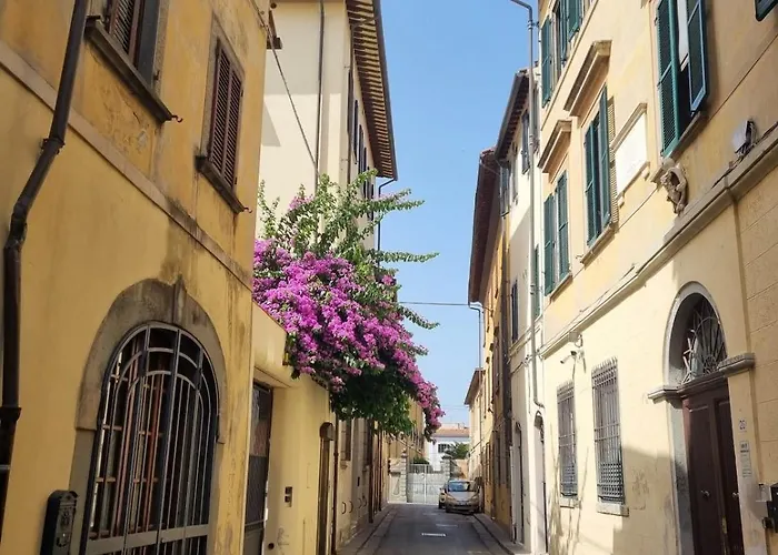 Tra Miracoli E Cavalieri Pisa